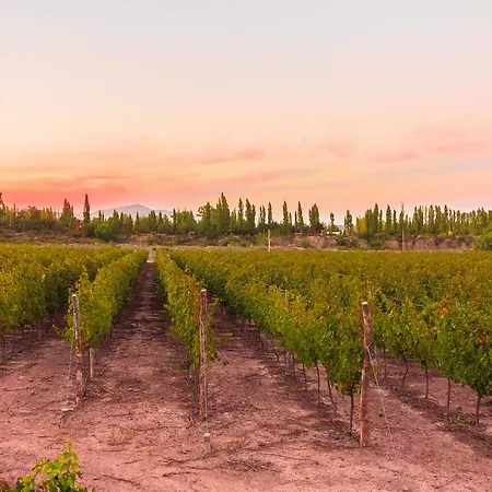 Marale Wines Hotel Boutique-2